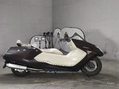 Yamaha MAXAM250
