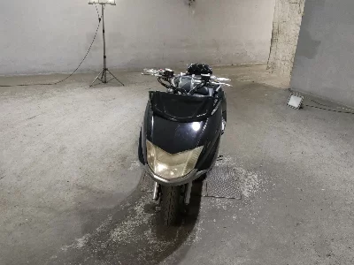 Yamaha MAXAM250