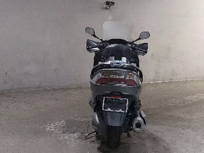 Suzuki SKYWAVE 250