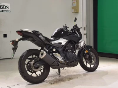 Yamaha MT-25