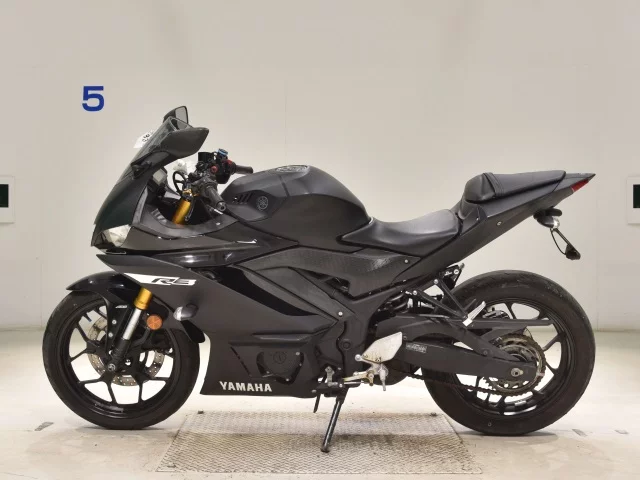 Yamaha YZF-R3 2019