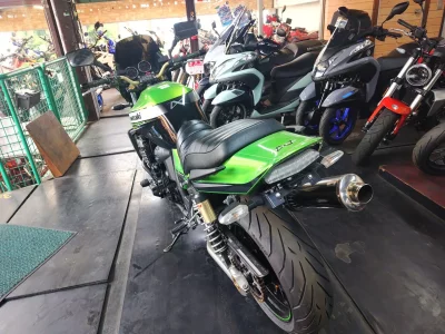 Kawasaki ZRX1200 DAEG