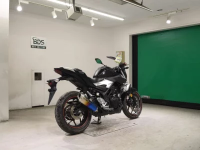 Yamaha MT-25