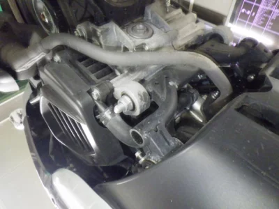 Honda GIORNO -3