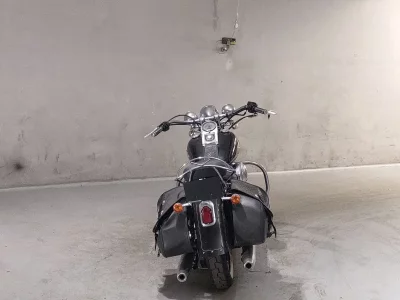 Harley-Davidson HARLEY FLSTS1450