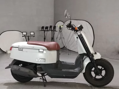 Yamaha VOX