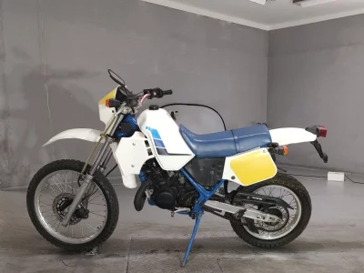 Suzuki RH250