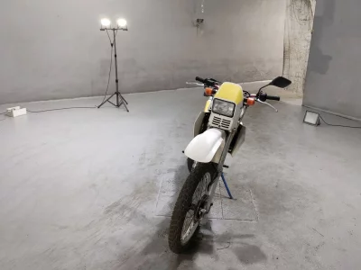 Suzuki RH250