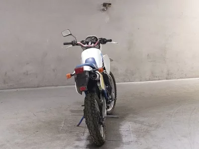 Suzuki RH250