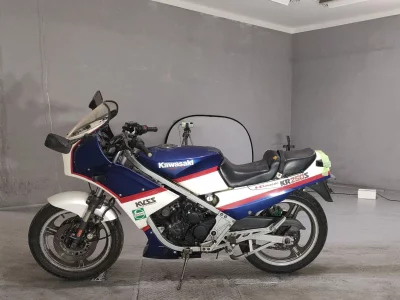 Kawasaki KR250S