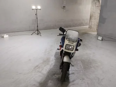 Kawasaki KR250S