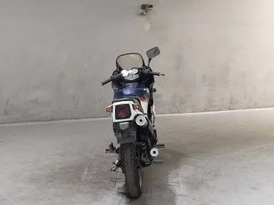 Kawasaki KR250S