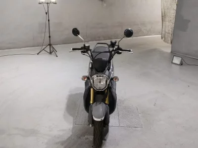 Honda ZOOMERX