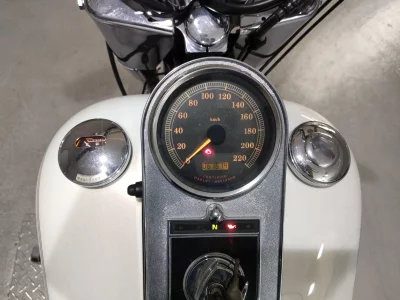 Harley-Davidson HARLEY FLSTF1450