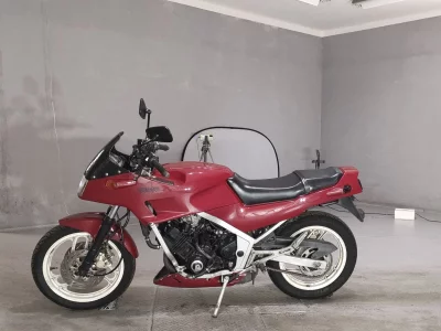 Yamaha FZ250 FEATHER