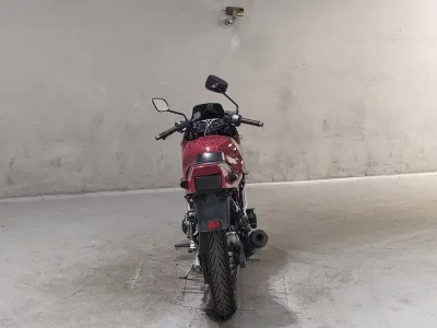 Yamaha FZ250 FEATHER