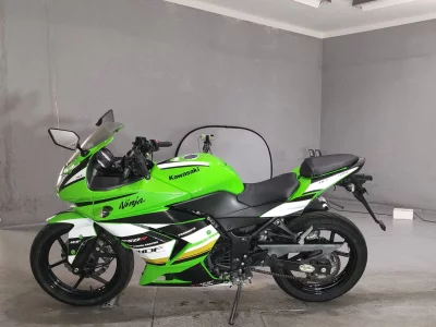 Kawasaki NINJA250R