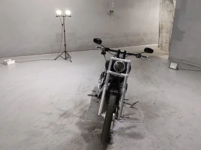 Harley-Davidson HARLEY FXDWG1580