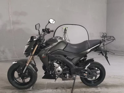 Kawasaki Z125 PRO
