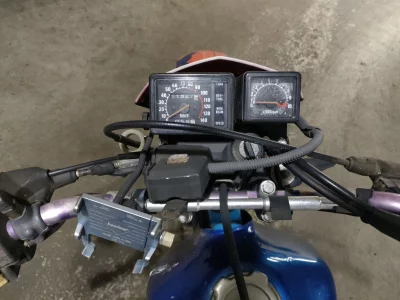 Honda XLX250R