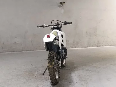 Suzuki TS200R