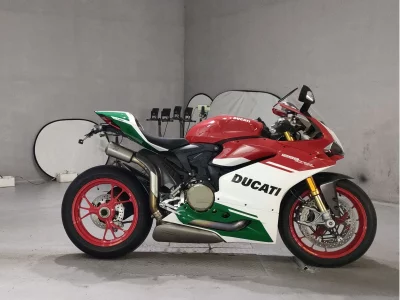 Ducati DUCATI 1299PANIGA-RER