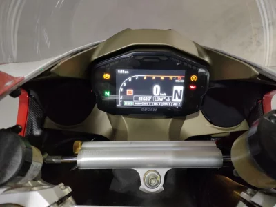 Ducati DUCATI 1299PANIGA-RER