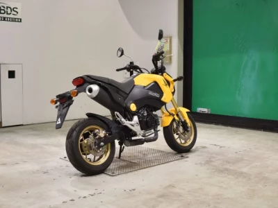 Honda GU ROM