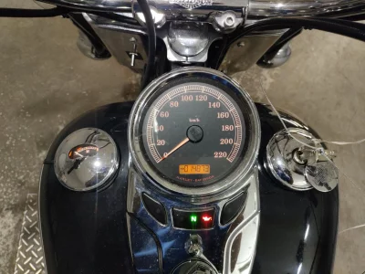 Harley-Davidson HARLEY FLSTC1580