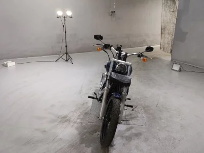 Harley-Davidson HARLEY FXDWG1580