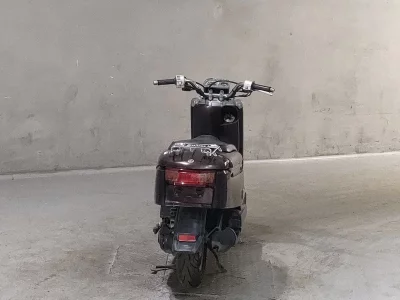 Yamaha VOX