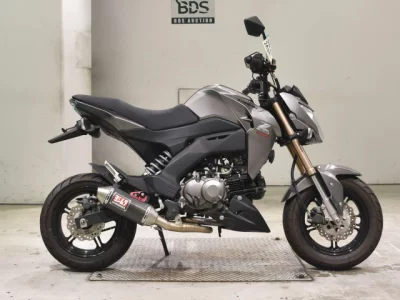 Kawasaki Z125PRO