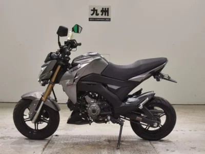 Kawasaki Z125PRO
