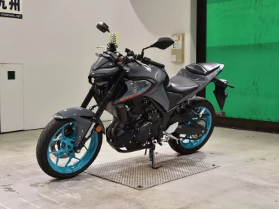 Yamaha MT-03A