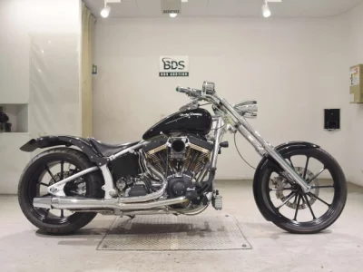 Harley-Davidson HARLEY FXSTD1450