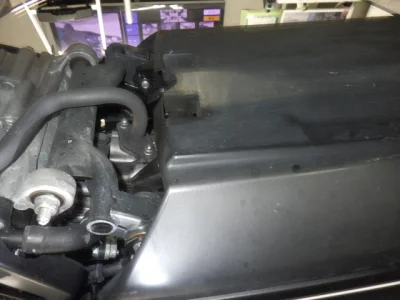 Honda DUNK