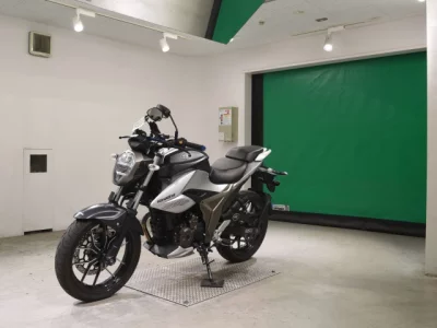 Suzuki JIKUSA-250