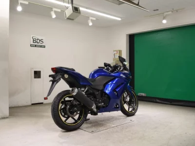 Kawasaki NINJA250R