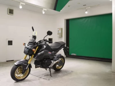 Honda GU ROM