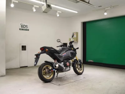 Honda GU ROM