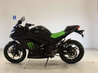 Kawasaki NINJA250