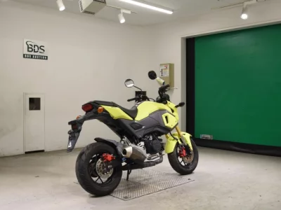 Honda GU ROM