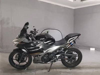 Kawasaki NINJA250