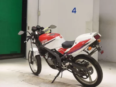 Yamaha TZR50