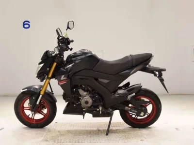 Kawasaki Z125PRO