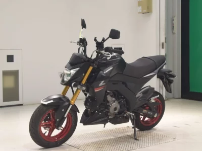 Kawasaki Z125PRO