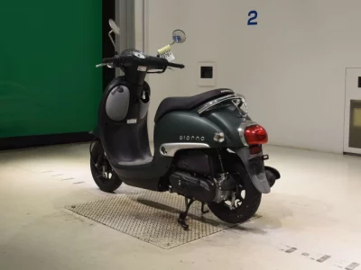 Honda GIORNO -3