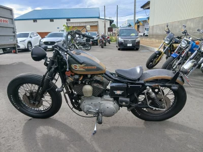 Harley-Davidson HARLEY XL1200X
