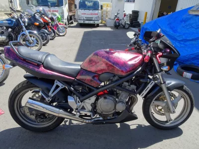 Suzuki BANDIT250-1