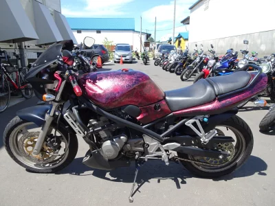 Suzuki BANDIT250-1